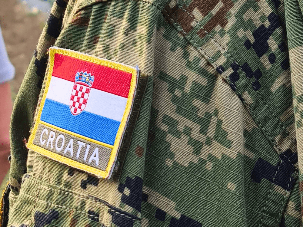 vojni