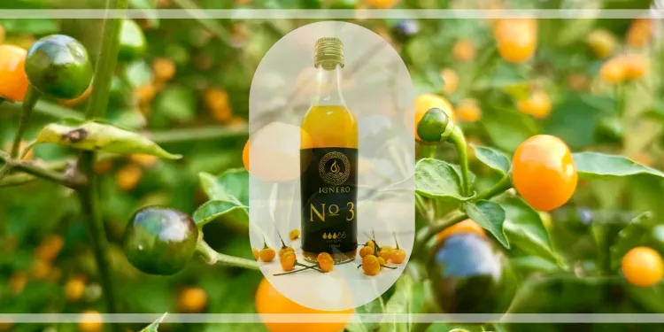 1097d5be-e0c8-4805-b1d6-4aad69e866f4-2