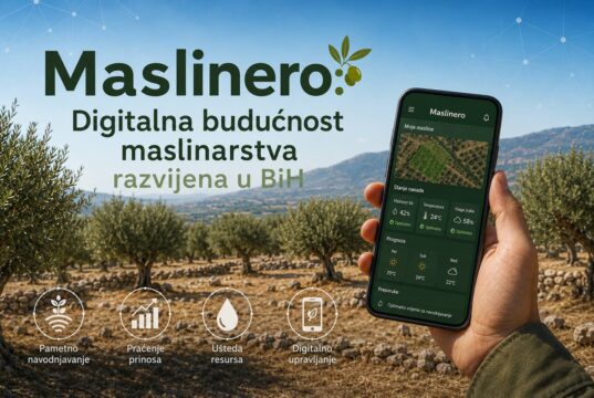 Maslinero: Digitalna budućnost maslinarstva razvijena u BiH