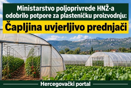 Ministarstvo poljoprivrede HNŽ-a odobrilo potpore za plasteničku proizvodnju: Čapljina uvjerljivo prednjači