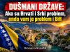 DUŠMANI DRŽAVE: Ako su Hrvati i Srbi problem, onda vam je problem i BiH
