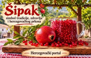 Šipak simbol tradicije, zdravlja i hercegovačkog prkosa